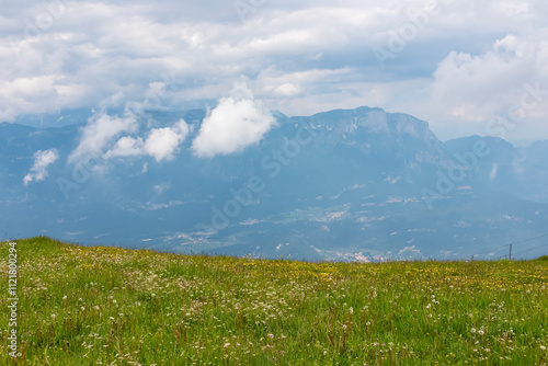 Alpine pasture with vibrant wildflowers overlooking cloud covered mountain peak of Paganello seen from top of mount Palon in Garda Prealps, Trentino Alto Adige, Italy. Hiking trail in Vason, Trento photo