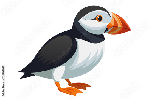 Atlantic Puffin bird art work illustration  photo