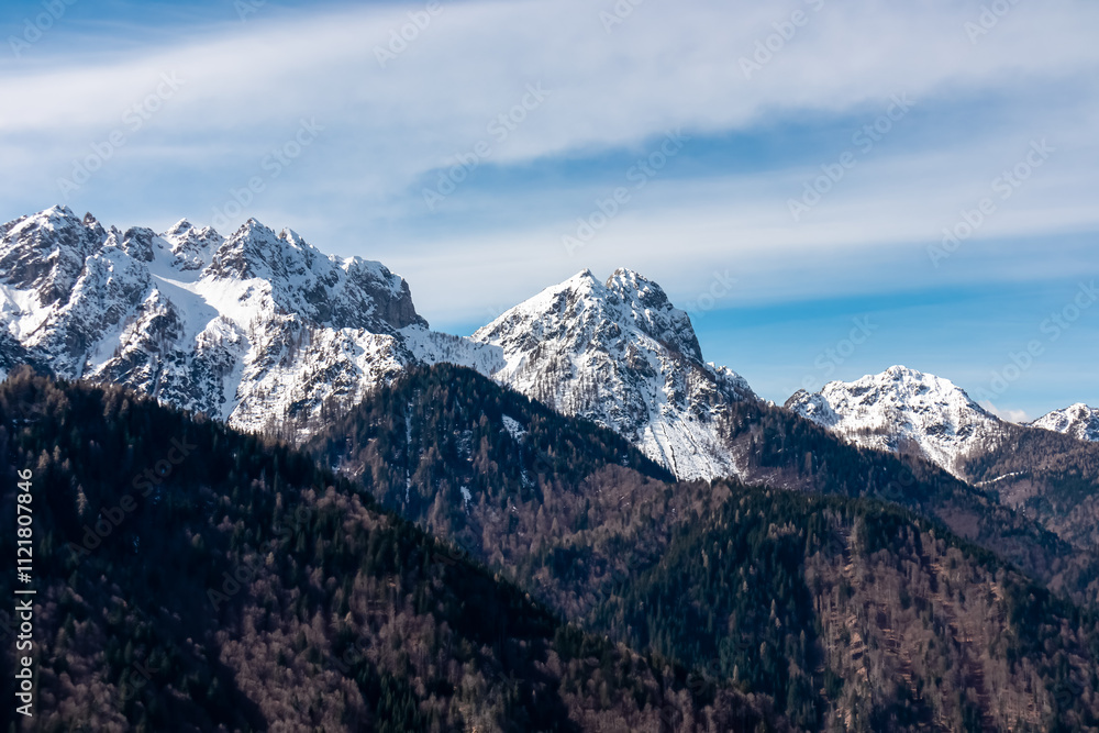 Fototapeta premium Panoramic view of snow capped mountain peaks of Julian Alps seen from Monte Nebria Cima Est, Friuli Venezia Giulia, Italy. Wanderlust in alpine wilderness in early spring. Hills covered with forest