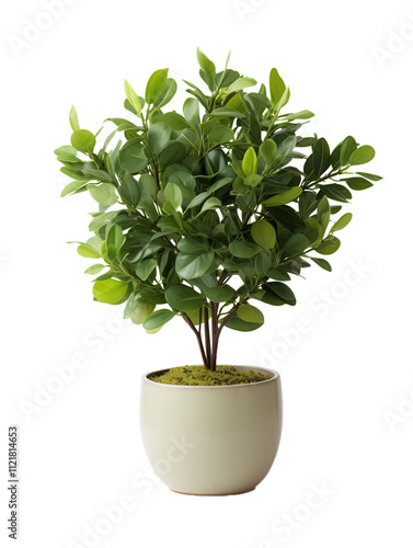 Green Artificial Plant in Beige Pot, Home Decor, Indoor Plant photo