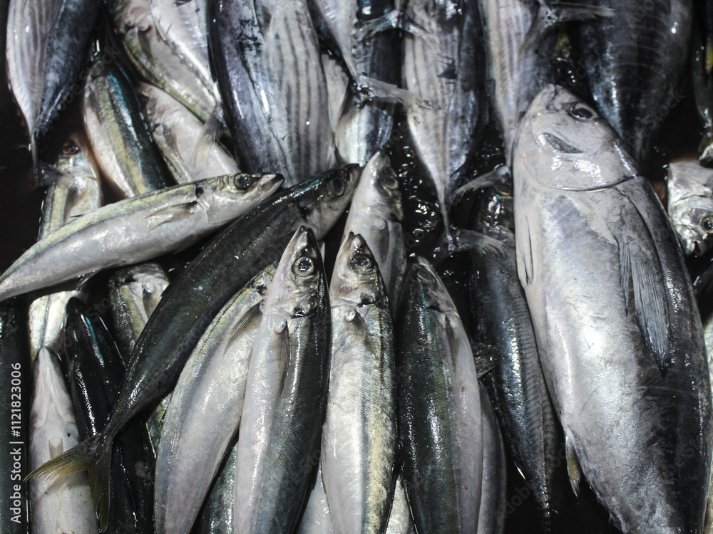 Obraz premium wet sea fish sold in traditional markets. looks fresh and ready to be sold. skipjack tuna and mackarel tuna
