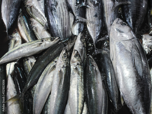 wet sea fish sold in traditional markets. looks fresh and ready to be sold. skipjack tuna and mackarel tuna photo