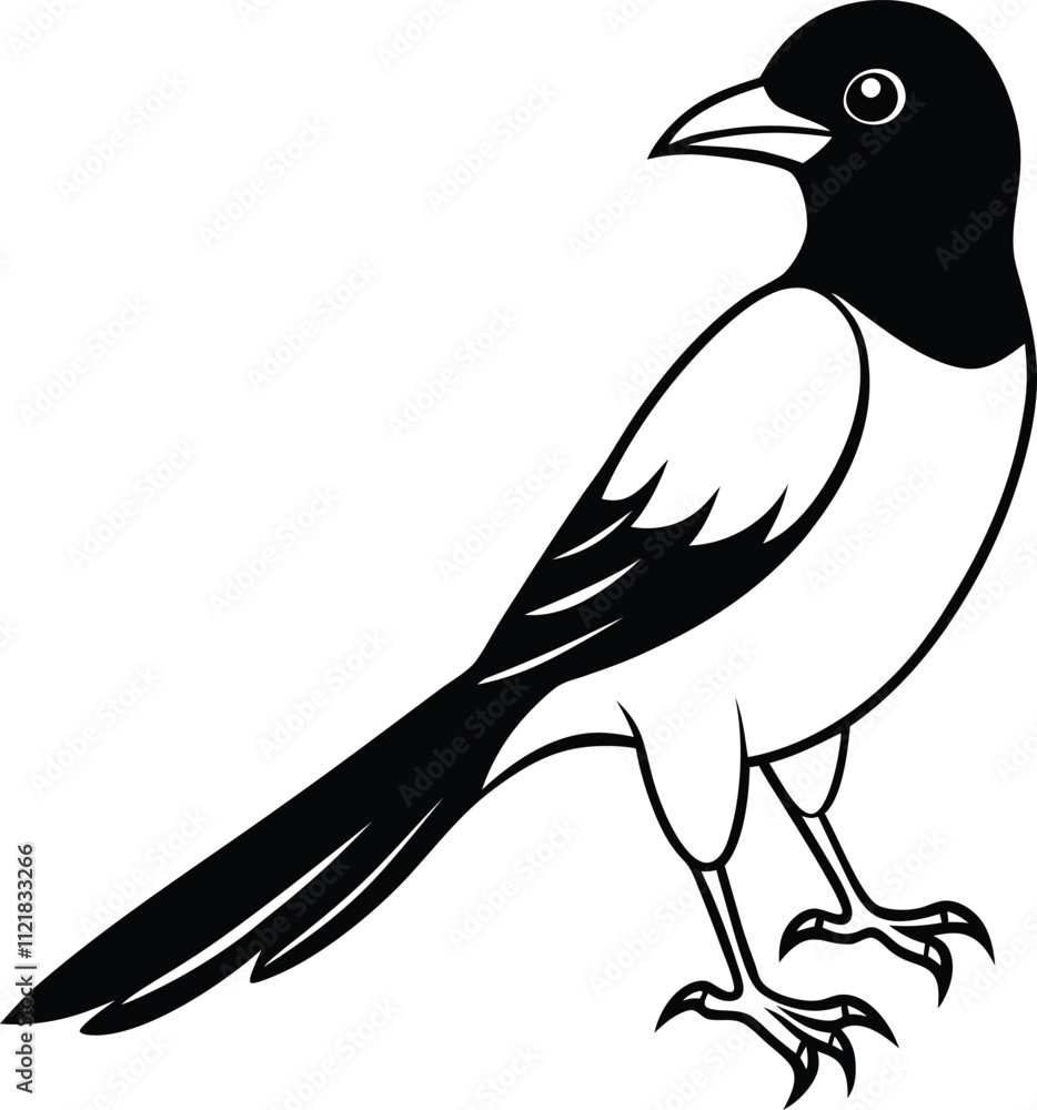 Obraz premium cute Asian koel line art silhouette