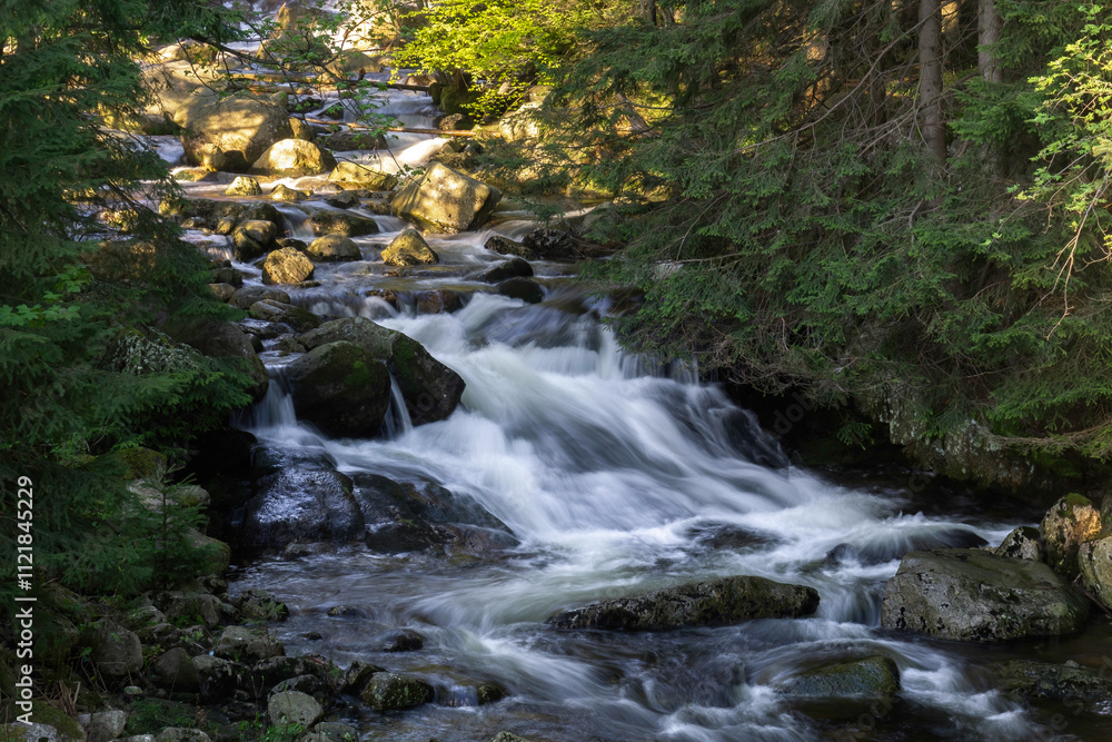 A small forest stream in which water flows between stones. A small forest stream in which water flows between stones.