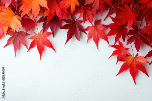 Fall Leaves On White Backgr...