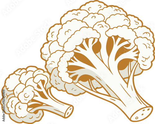 cauliflower on white background vector art