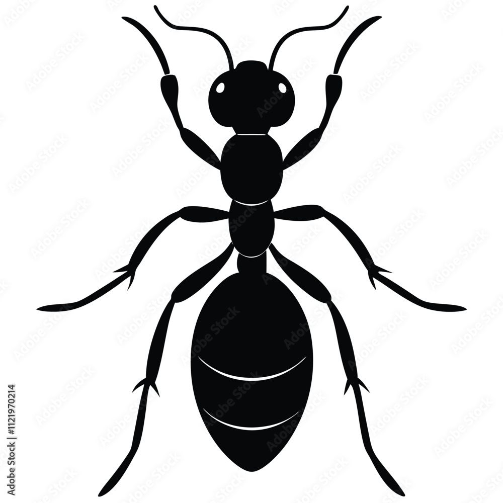 Fototapeta premium illustration of a spider