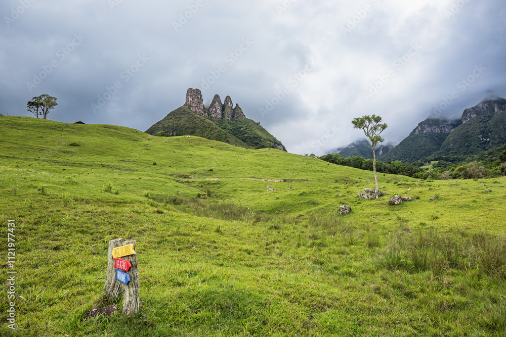 Obraz premium Explore the scenic beauty of Soldados Sebold, tropical destination in Santa Catarina, Brazil. Perfect for a family trip or adventure, enjoy green hills, foggy peaks, rainforest views, relaxing pasture