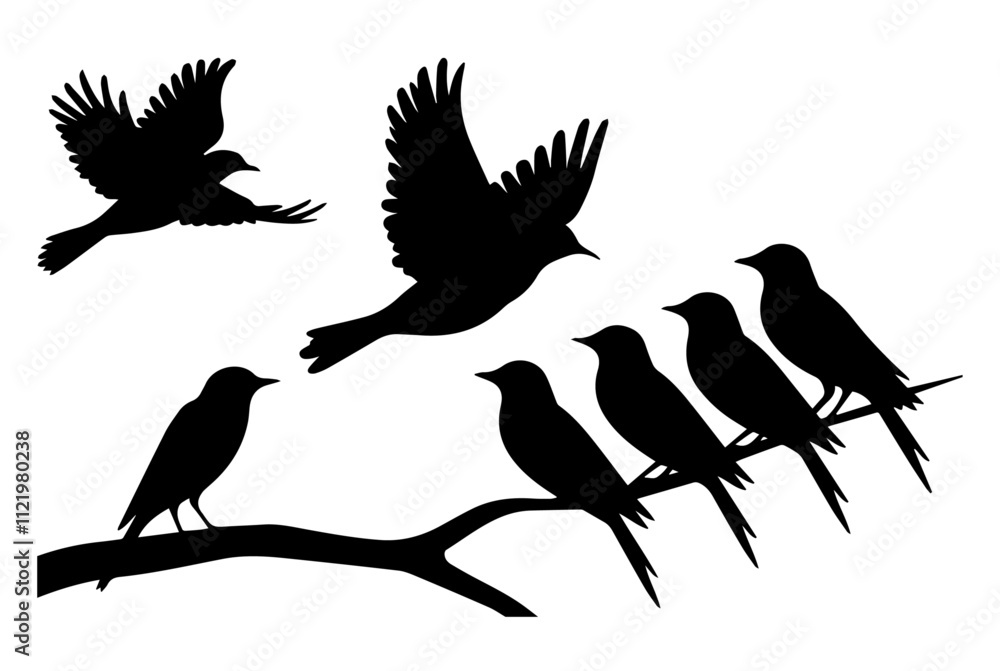 Obraz premium Birds Silhouette Vector Pack - High-Quality PNG Designs
