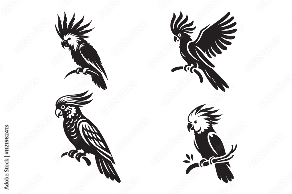 Obraz premium Vector Set of Cockatoo Parrot Silhouettes Graceful Bird Designs on White Background