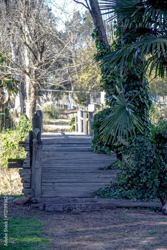 bridge in the park