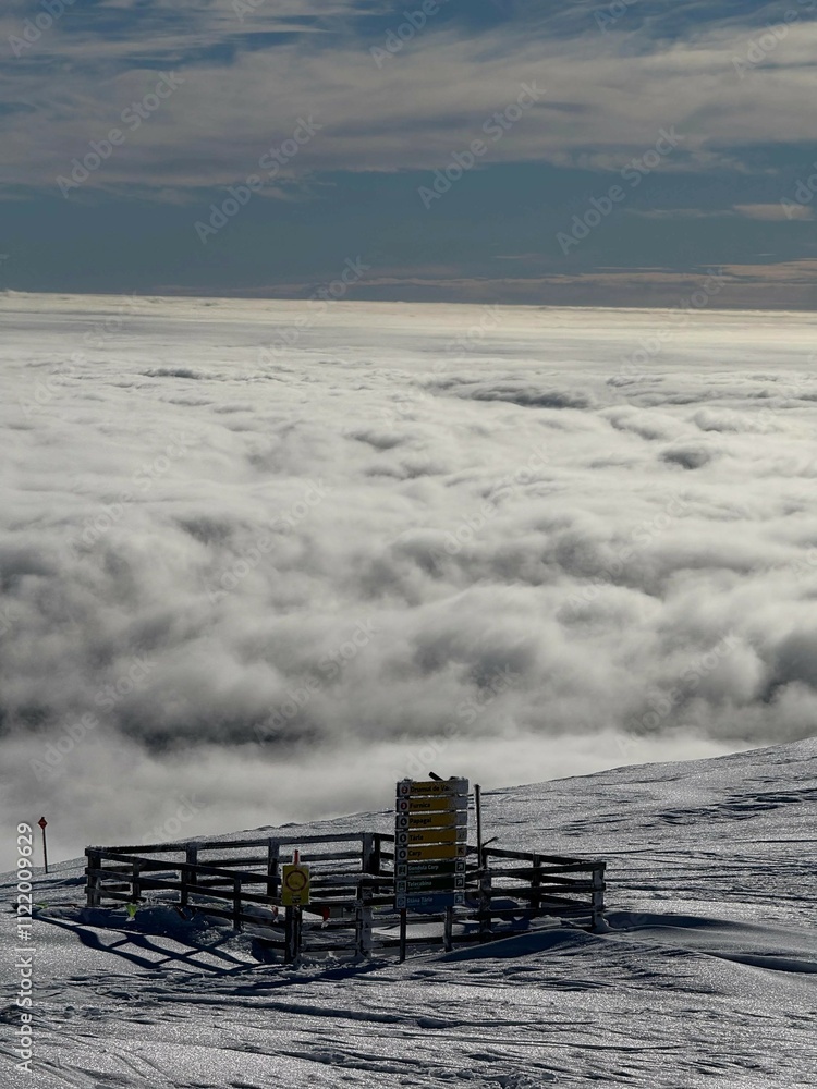 custom made wallpaper toronto digitalCota 2000 - Sinaia