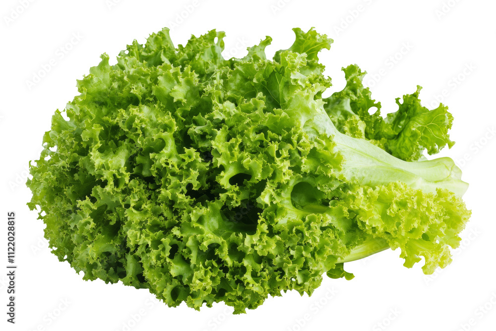 Obraz premium Fresh green lettuce, ideal for salads and healthy dishes, showcasing its vibrant color and organic texture on a white isolated background.