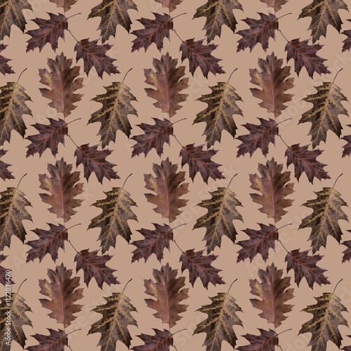 Pattern of oak leaves on a light brown color background.