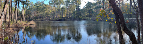 Pond in the morning in Sabine National Forest, Texas