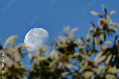 Luna
