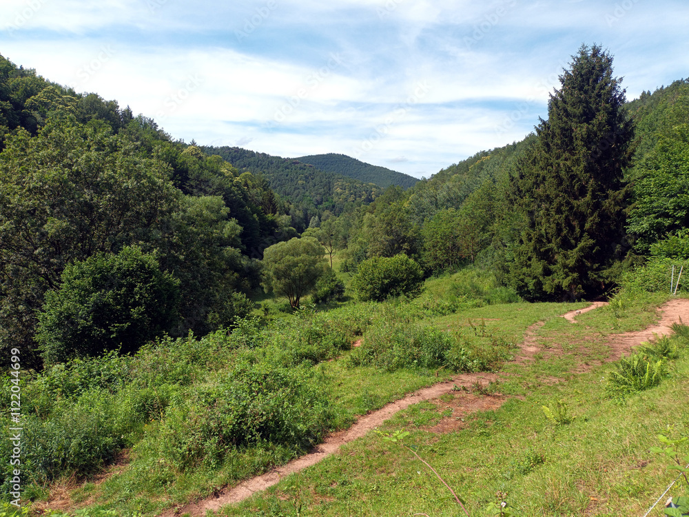 Wald und Wiesenlandschaft im Sommer im Pfälzerwald bei Dimbach. Wald und Wiesenlandschaft im Sommer im Pfälzerwald bei Dimbach.