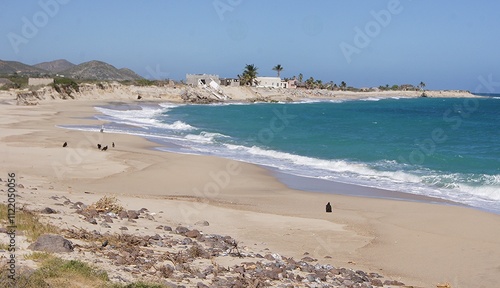 Cabo Pulmo, San Jose del Cabo, Cabo San Lucas, Baja California Sur, Mexico