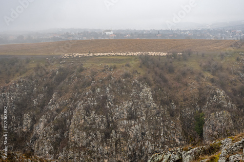 Shepherds herding flock of sheep on a hilltop near tureni's gorges in cluj county, transylvania, romania, on a foggy winter day photo