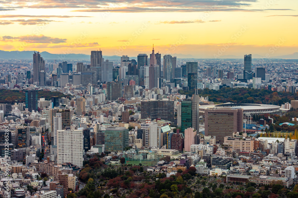 Obraz premium Tokyo skyline with Shinjuku district skyscrapers at sunset, Japan