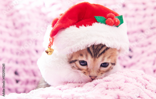 A small, playful kitten with soft fur peeks out while donning a Santa hat adorned with a jingle bell, resting on a plush pink blanket, embracing the holiday spirit.