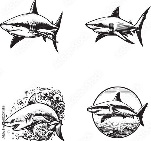 Hand-Drawn Shark Illustrations Set