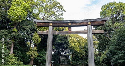 Torii gate at the entrance to the Meiji Shrine in Tokyo, Japan. photo