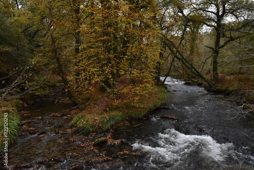 a view of the river Walkham in Devon headed towards double waters where it will meet the river Tavy