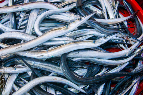 Garfish. After catch, fish are sold in the market. photo