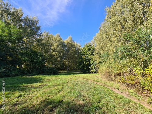 eine Wiese mit blauem Himmel und Bäumen in Treptow (Berlin) photo