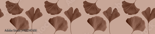 Ginkgo biloba leaves pattern on light brown background