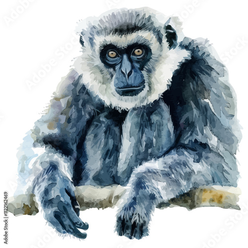 A watercolor vector of a Gibbon, isolated on a white background. Gibbon vector.