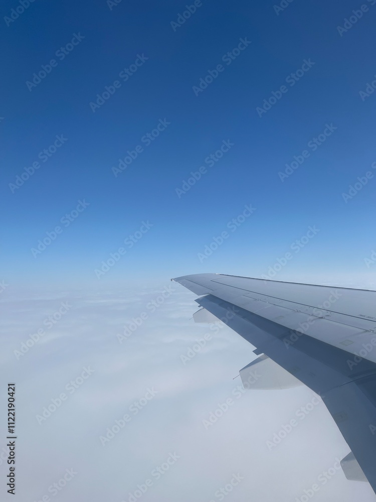 Obraz premium view from airplane window