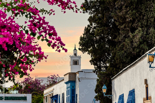 Beautiful small town in the north of Tunisia