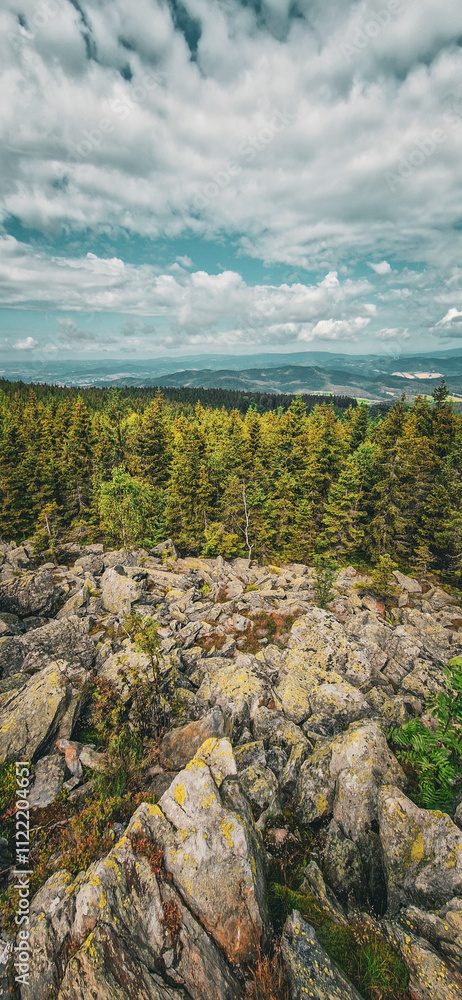 Fototapeta premium landscape mountains czechia jeseniky