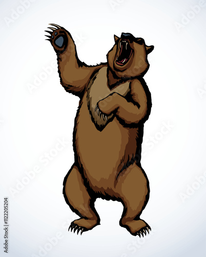 Vector drawing. An angry bear stands and growls