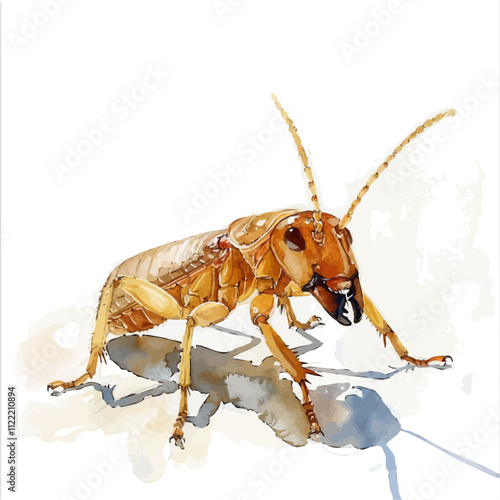 A watercolor clipart of a Termite, isolated on a white background. Termite vector.