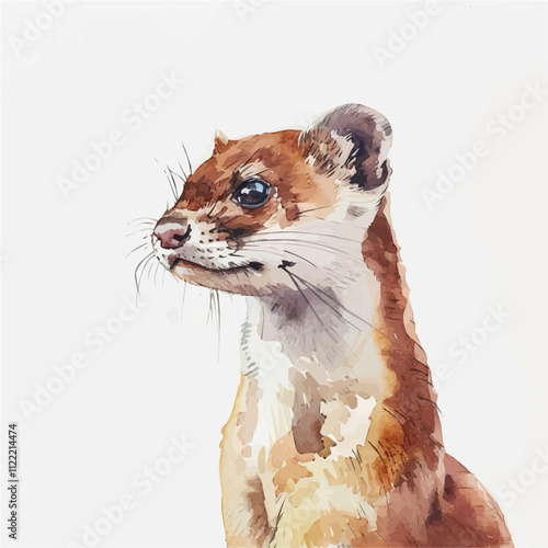 A watercolor drawing of a Weasel, isolated on a white background. Weasel vector.