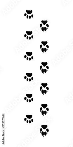 Cat and dog paw print. Png or vector illustration.