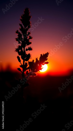  sunset silhouette with warm hues capturing nature's tranquility