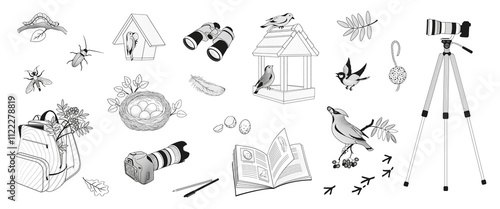 set elements about birdwatching, binoculars, camera, insects, birds, feeder, notebook, bird nest, bird eggs, bird traces	