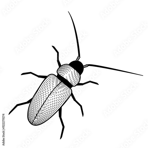 longhorn beetle forest pest insect	