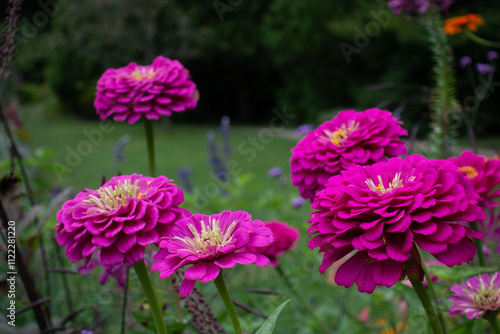 Asticou Garden Flowers photo