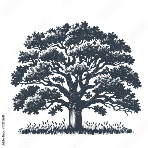 Oak Tree. Vintage wood block print style vector illiustration.
