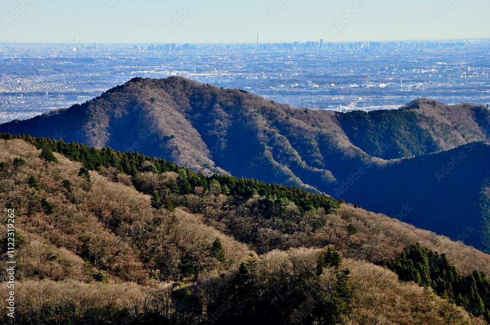 Obraz premium 丹沢の能ノ爪 鍋嵐東尾根より望む相州アルプスの華厳山と遠くに東京スカイツリー 