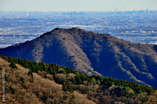 丹沢の能ノ爪　鍋嵐東尾根より望む相州アルプスの華厳山と遠くに東京スカイツリー
 photo