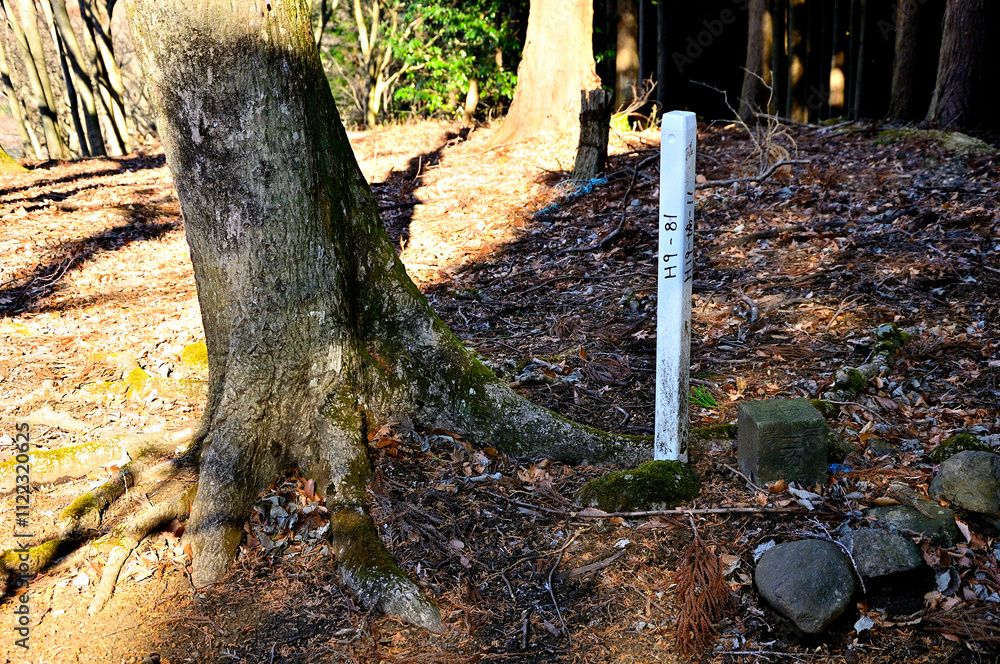 Obraz premium 丹沢の辺室山 三等三角点 基準点名は辺室 