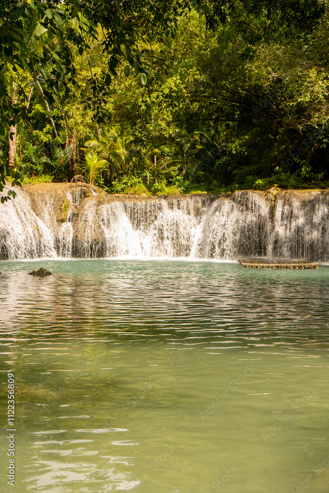 Obraz premium waterfall in the woods