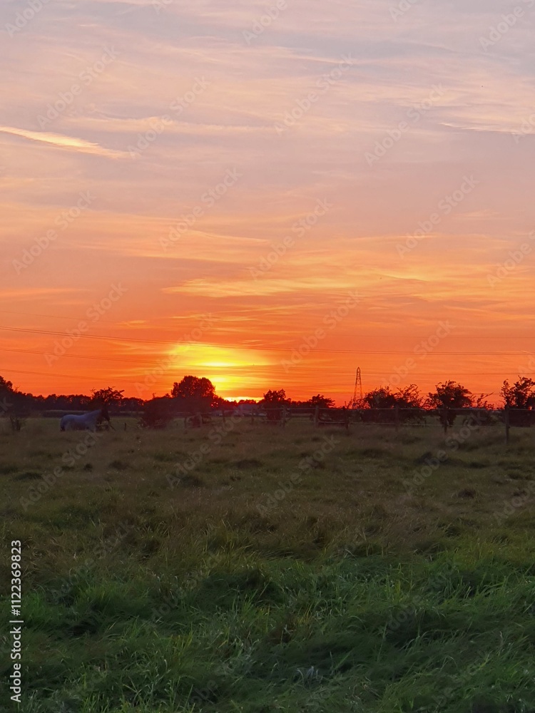 Obraz premium sunset in the desert