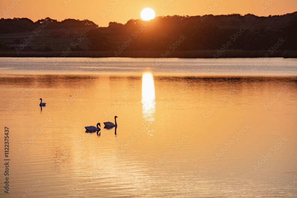 Fototapeta premium 新潟 佐潟の夕景